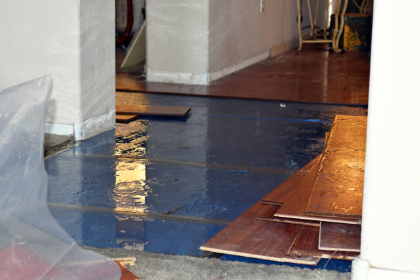 Professional Flood Cleanup technician working in Cadillac, MI